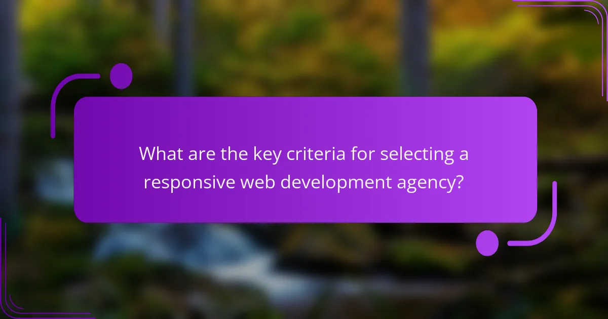 What are the key criteria for selecting a responsive web development agency?